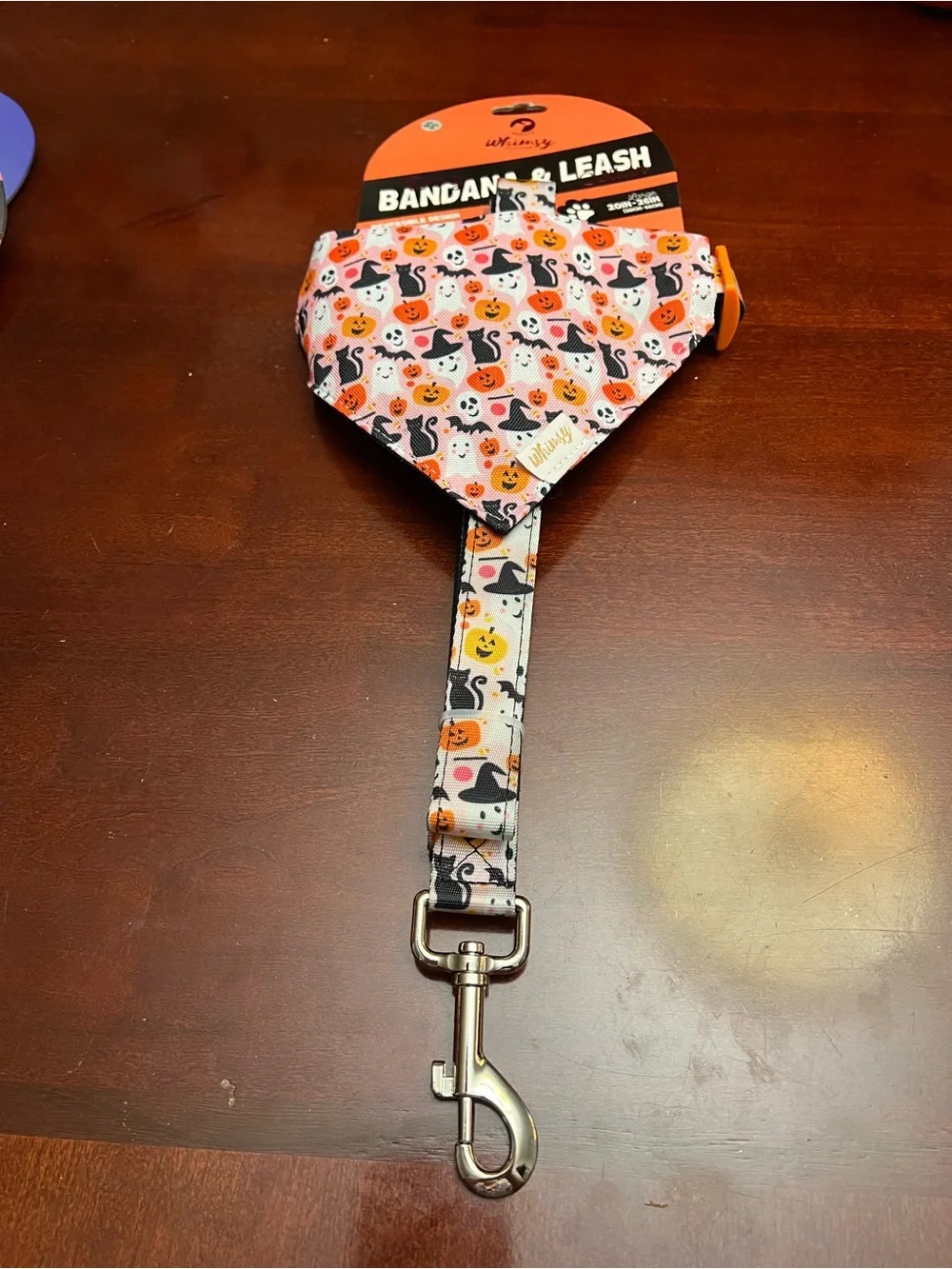 Whimsy Reversible Pink Halloween Bandana & Leash Set for Dogs - Large